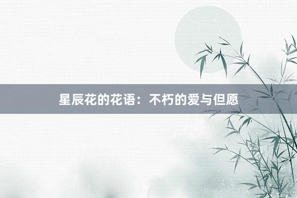 星辰花的花语：不朽的爱与但愿